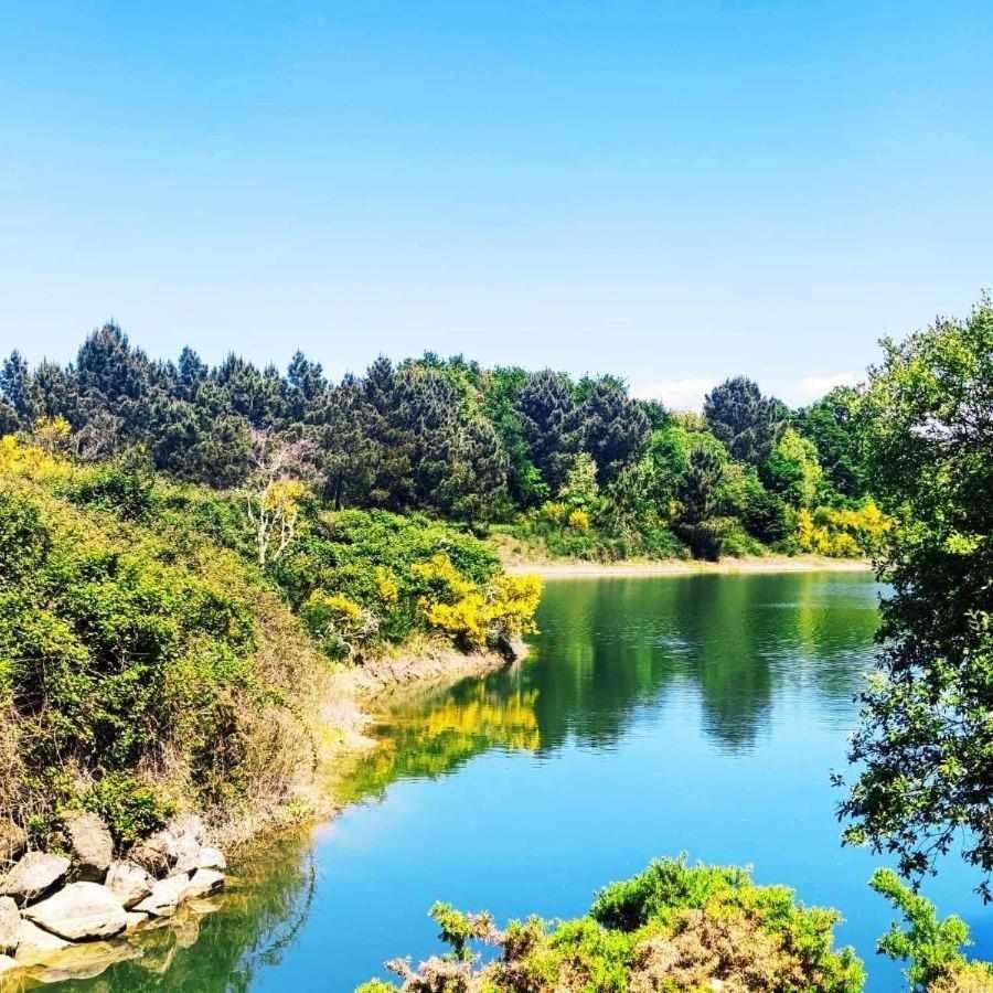 Pena da Osa Villa Sober Bagian luar foto